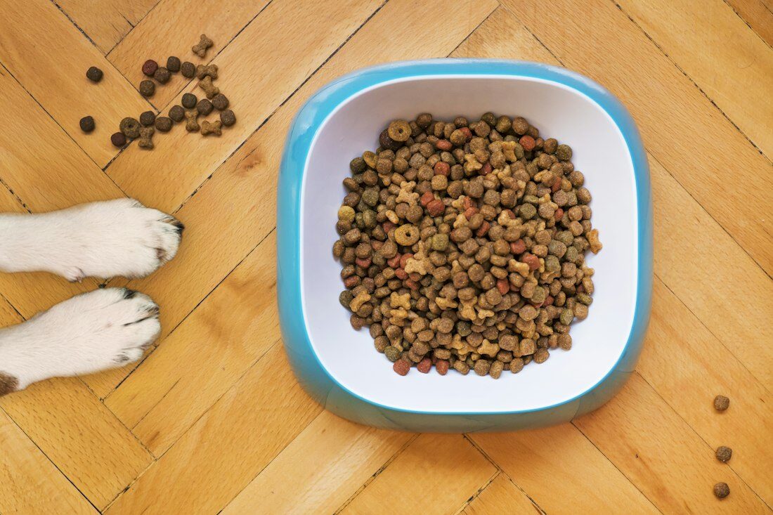 Categoría Comida perro — selección MascotaUtil