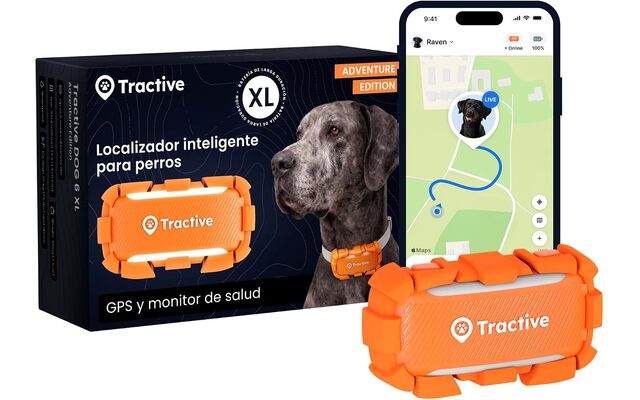 Tiempo real — Localizador GPS para perro