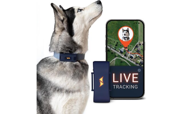 Batería — Localizador GPS para perro