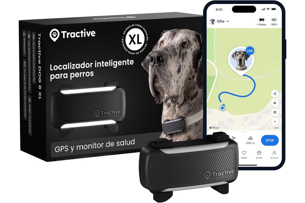 Localizador GPS para perro — guía MascotaUtil España