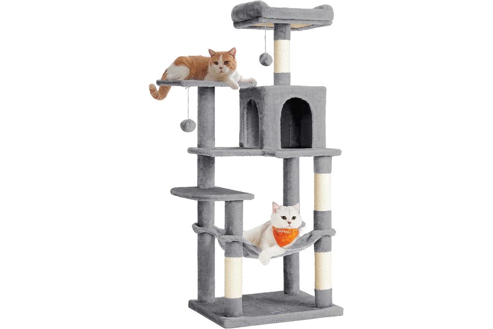 Árbol rascador para gato — guía MascotaUtil España