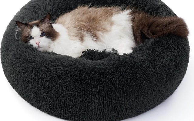 Cama redonda para gato
