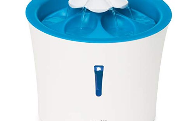 Flujo de fuente para gatos