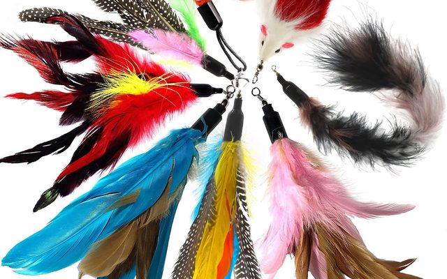 Pack de plumas y recambios