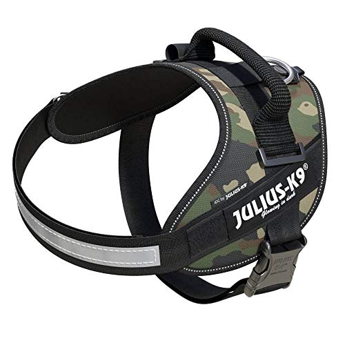 Julius-K9 IDC — 0 / M–L